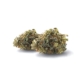 Gorilla Zkittlez x 24,0% THC | Cannamedical